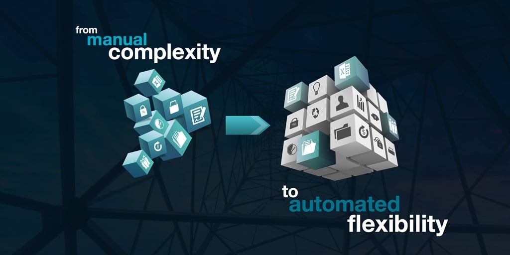 Planning Expensive ERP Modifications to Meet Service Business Requirements?